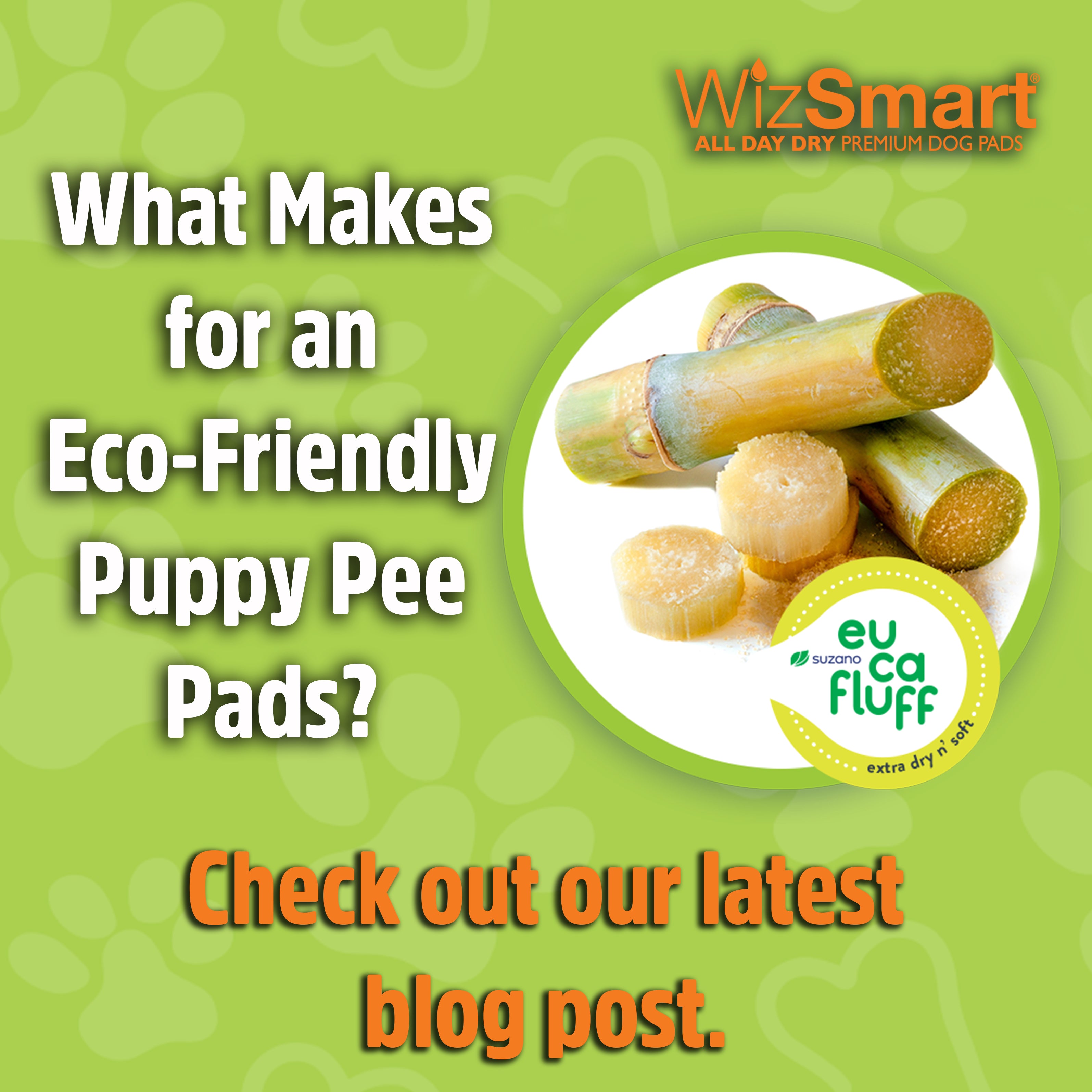 What Makes for an Eco Friendly Puppy Pee Pads WizSmart